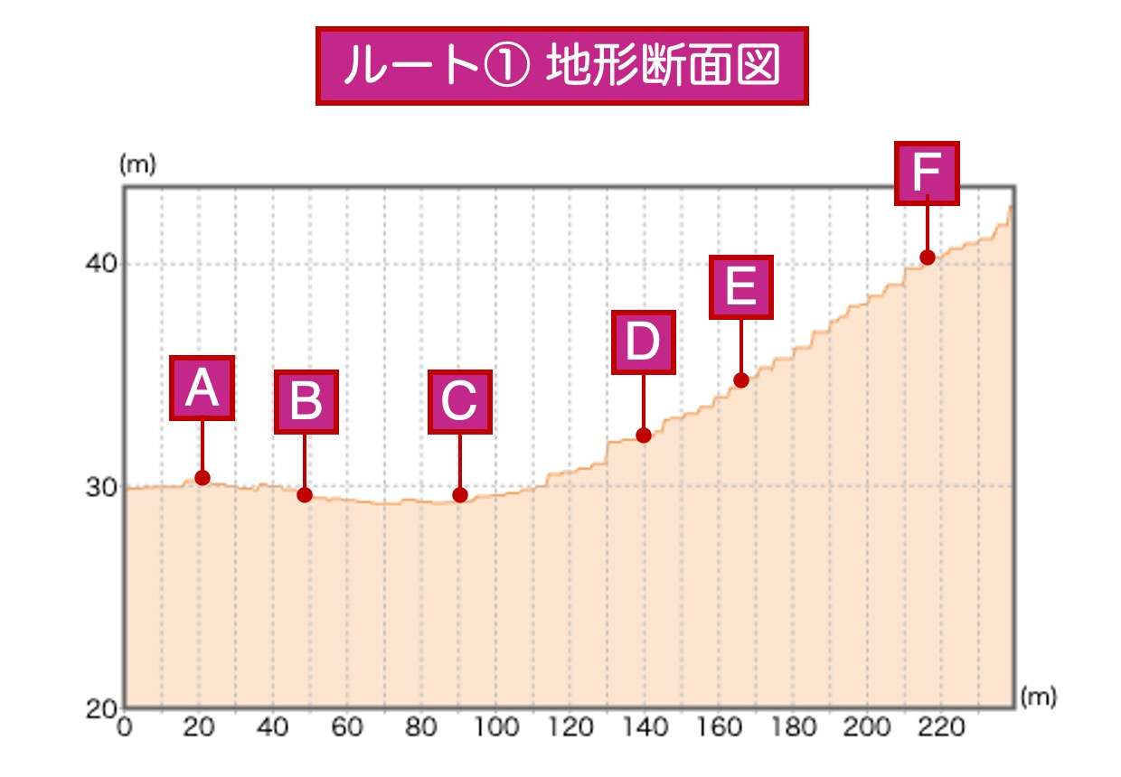 ルート①地形断面図