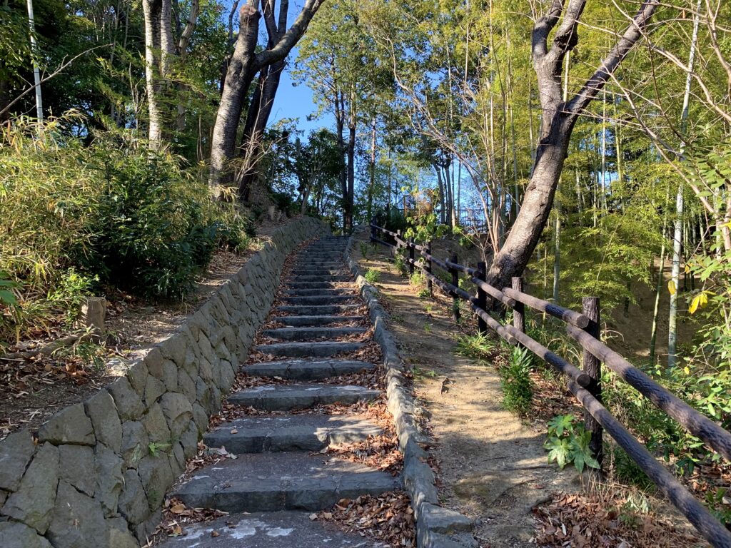 港南台中央公園 自然山林