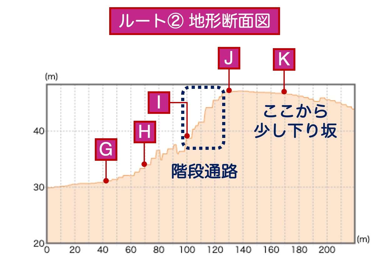 ルート②地形断面図