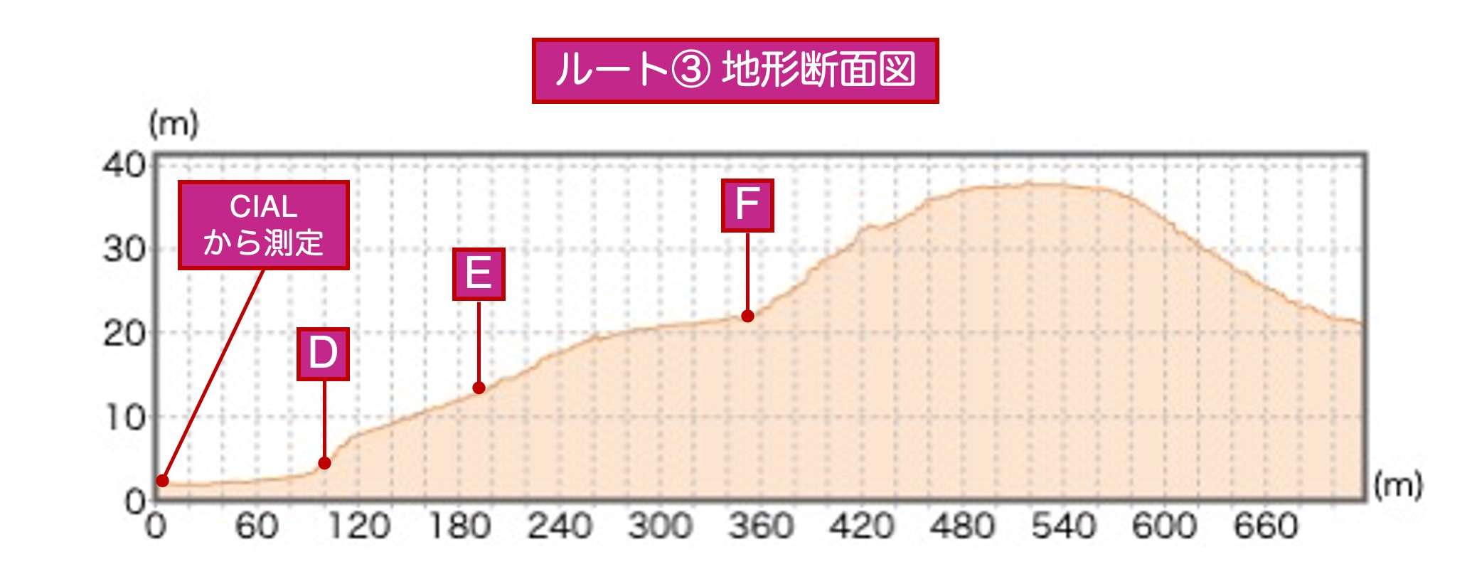 ルート③地形断面図