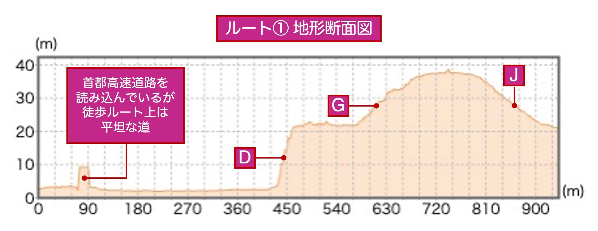 ルート①地形断面図