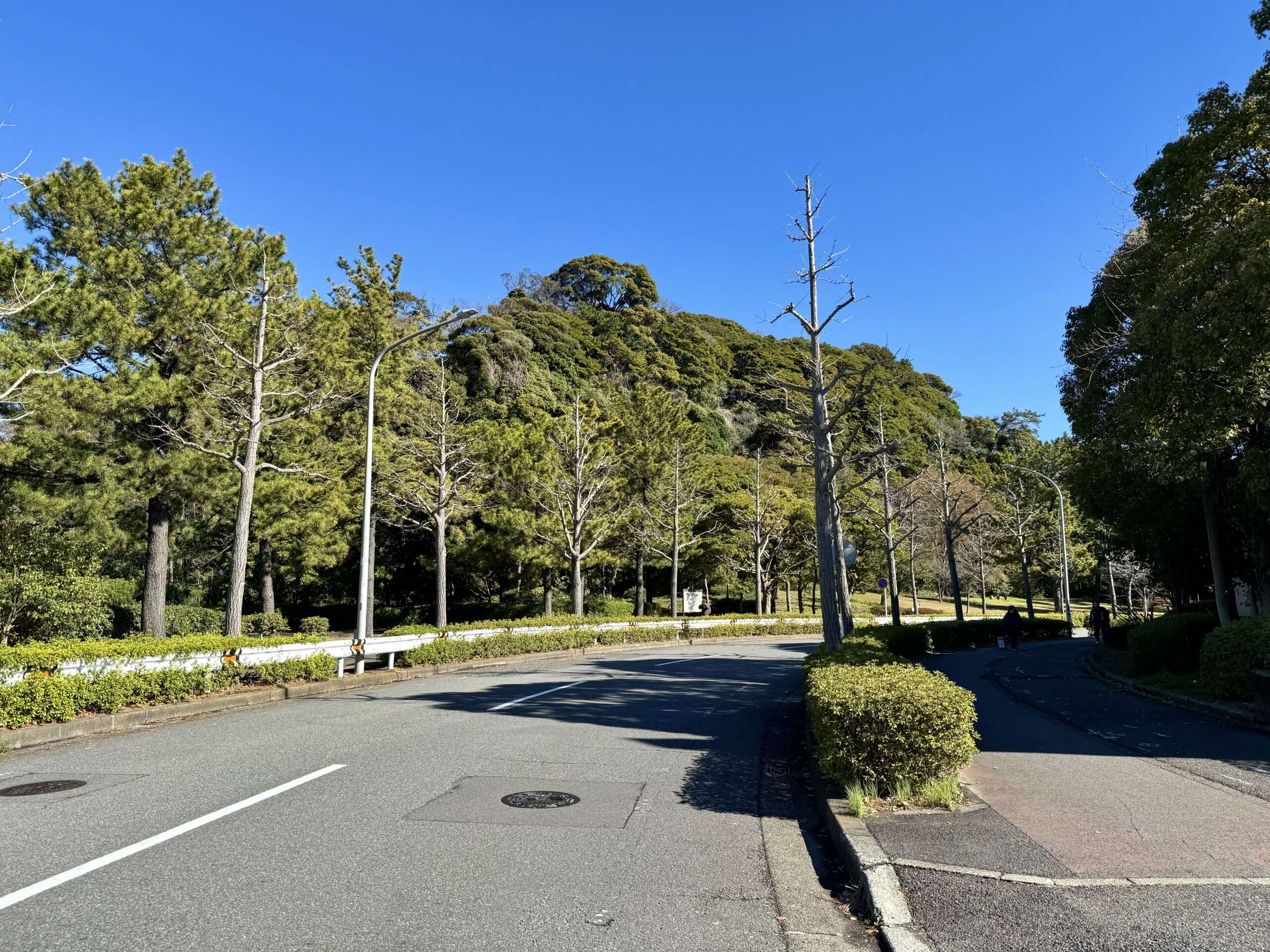 富岡・長浜風致地区