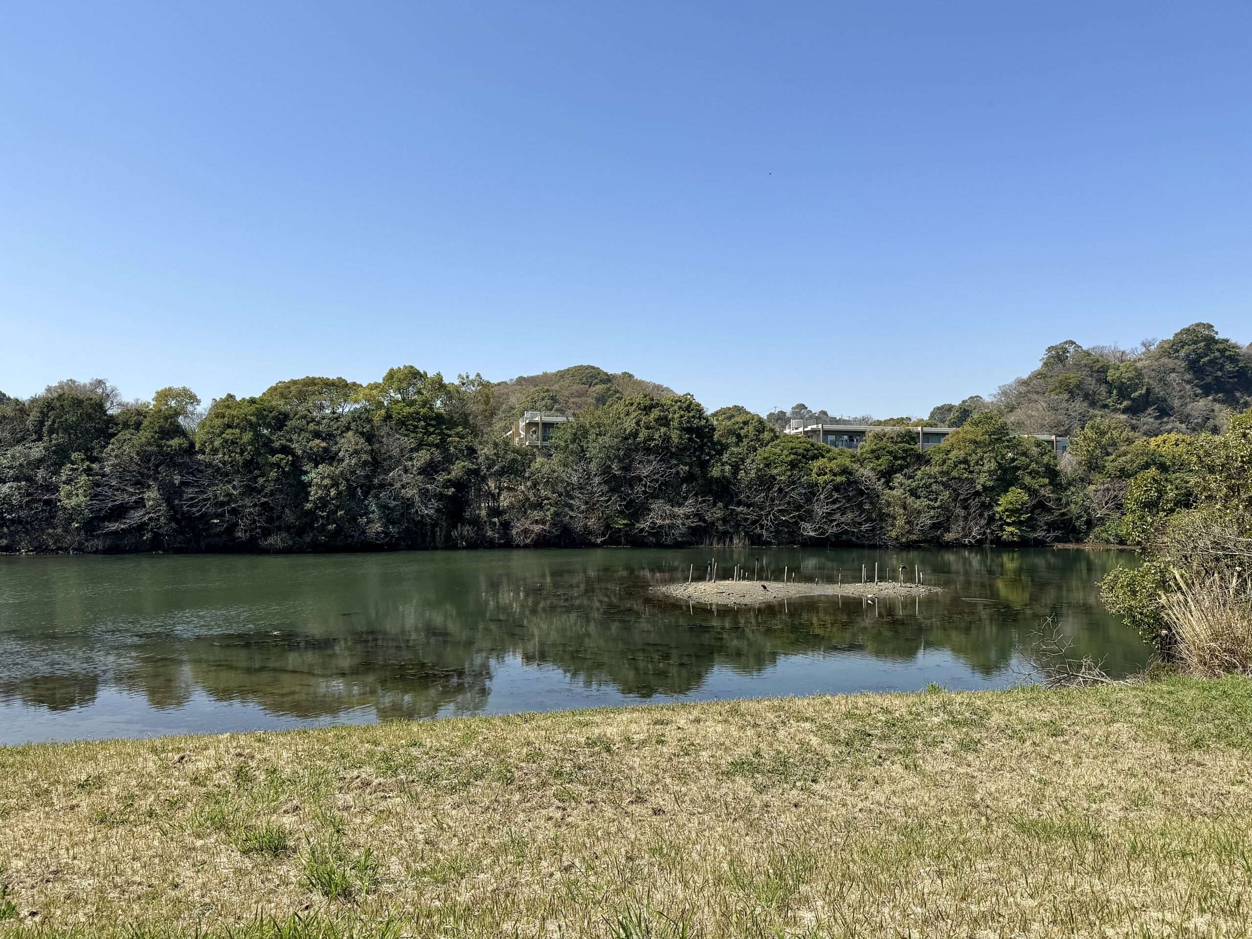 長浜公園 汽水池