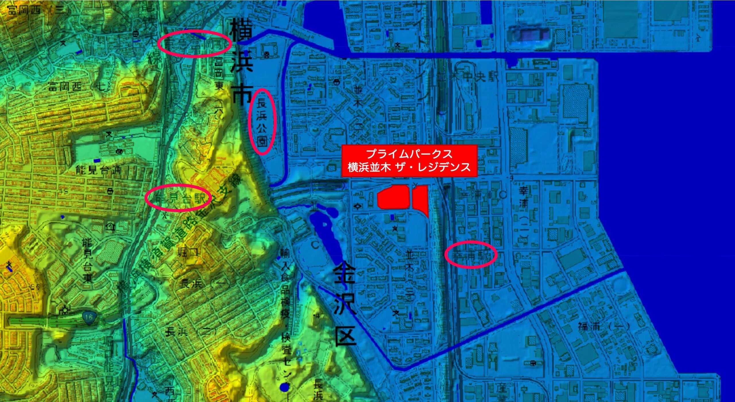 並木エリア周辺の標高図