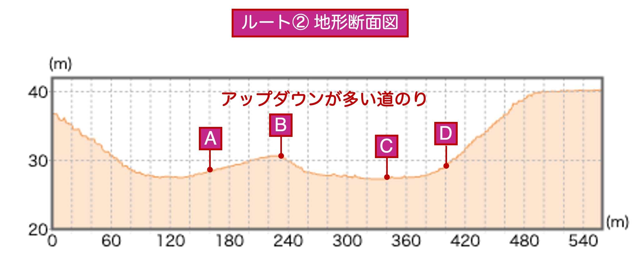 ルート②地形断面図